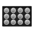 Bullion Storage Case for 1g Rounds - Holds 36 Gold Silver Platinum Rounds - 15 mm Precision Holder with Sliding Cover - Compact Organizer (Case Only, Bars Not Included)