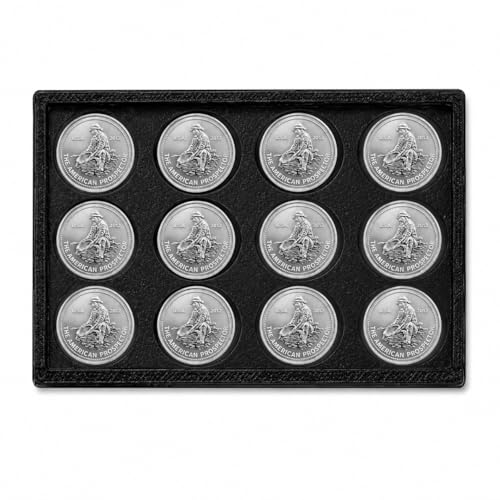 Bullion Storage Case for 1g Rounds - Holds 36 Gold Silver Platinum Rounds - 15 mm Precision Holder with Sliding Cover - Compact Organizer (Case Only, Bars Not Included)