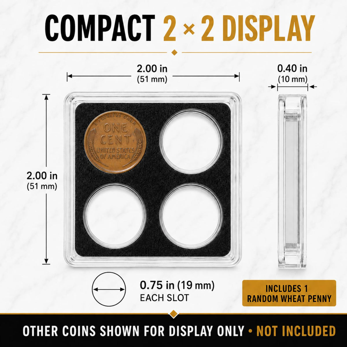 XplrsAttic 4 Slot Coin Display Case for Pennies & Dimes, Includes Lincoln Wheat Penny, Compact 2x2 Tabletop Holder, Beginner Coin Collecting Starter Kit
